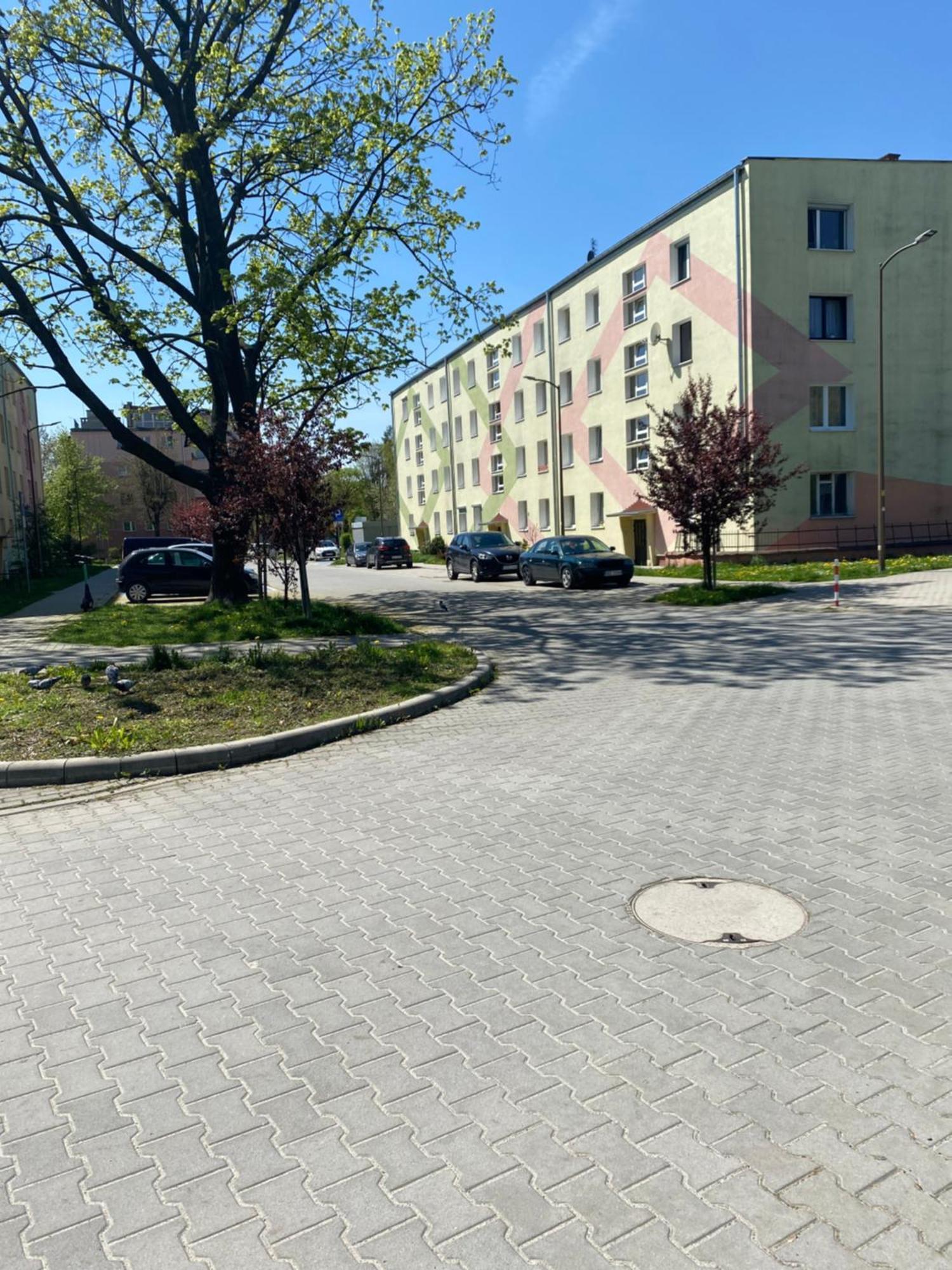 Nowoczesny Apartament w Dzierżoniowie - parter - balkon - pokój + sypialnia Dzierzoniow Exterior foto